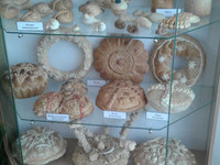 Музей хліба