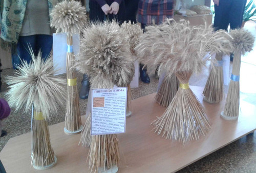 Музей хліба